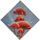 Champignons rouges 1