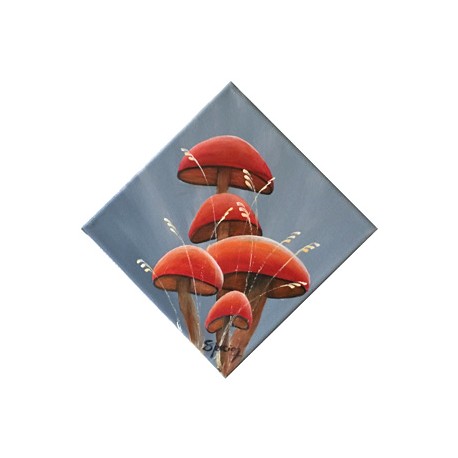 Champignons rouges 1